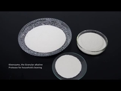 세정 효소 프로테아제 셀룰라제 아밀라아제