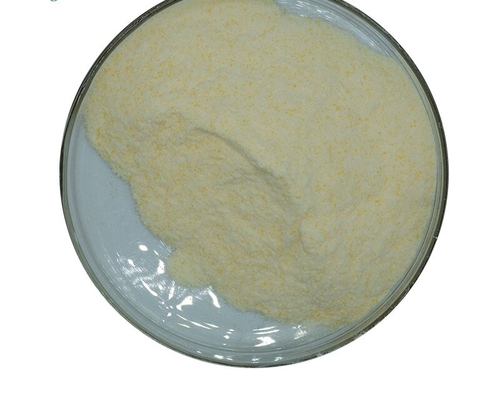 좋은 가격 CAS 9001-62-1 99% 리파아제(지방분해 효소) 효소 분말 식품 등급 첨가물 온라인으로