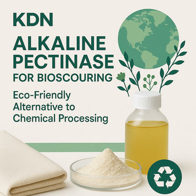 좋은 가격 친환경 섬유 효소 공장 효소 펙틴 제거 용액 온라인으로