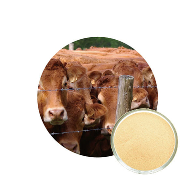 좋은 가격 가금 사료에서 알칼리성 프로테아제 효소 온라인으로