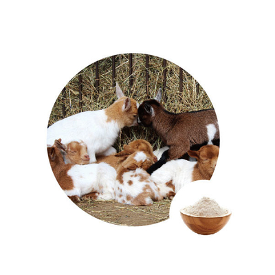 좋은 가격 식품 첨가물 글루코스 산화효소 Ec 1.1.3.4 번 온라인으로