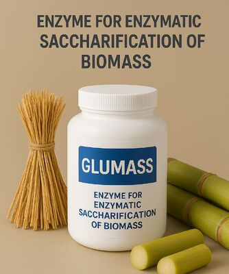 좋은 가격 완전한 바이오매스 당화용 고효율 효소 온라인으로