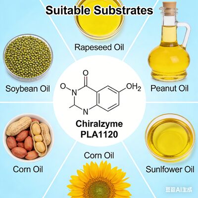 좋은 가격 KDN Chiralzyme PLA1120: 원유 정제용 우수한 오일 디게밍 효소 온라인으로